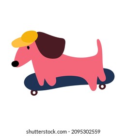 Dachshund Ride On Skateboard Vector Hand Stock Vector (Royalty Free ...