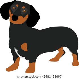 Dachshund Sausage Dog Minimal Flat Vector Illustration