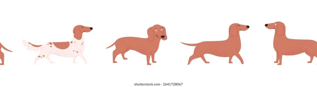 Dachshund seamless pattern border. Funny hot dog dog, cute dogs in different poses, stands and walks. Cartoon puppies banner, vector decor print
