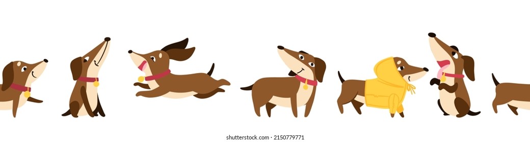 Dachshund seamless pattern with collars and medallions in various poses. Drawn in cartoon style. Vector illustration for designs, prints, patterns. Isolated on white background