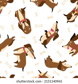 Dachshund seamless pattern with collars and medallions in various poses and bones in the background. Drawn in cartoon style. Vector illustration for designs, prints, patterns. Isolated on white
