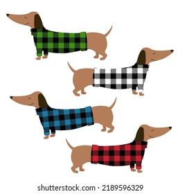 Dachshund set. Cartoon dachshund in a sweater  buffalo plaid. Christmas dog. Dachshund clothes. Vector illustration. Isolated on white background. Good for posters, t shirts, postcards.