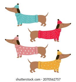 Dachshund. Caricatura dachshund con un suéter y sombrero. Perro de Navidad. Ropa de Dachshund. Ilustración vectorial. Aislado sobre fondo blanco. Bueno para carteles, camisetas, postales.