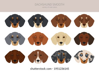 Clipart de pelo corto de Dachshund. Postas diferentes, colores de abrigo.  Ilustración del vector