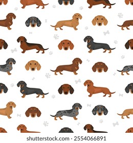 Dachshund short haired dog seamless pattern. Different coat colors set.  Vector illustration