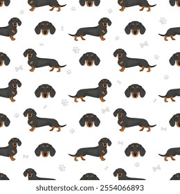 Dachshund short haired dog seamless pattern. Different coat colors set.  Vector illustration