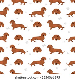 Dachshund short haired dog seamless pattern. Different coat colors set.  Vector illustration