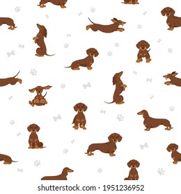 Dachshund short haired seamless. Different poses, coat colors set.  Vector illustration