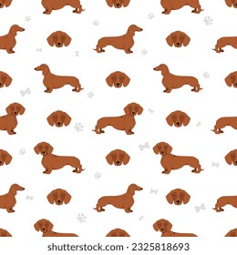 Dachshund short haired seamless. Different poses, coat colors set.  Vector illustration