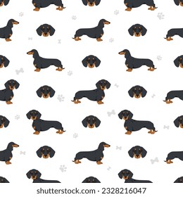 Dachshund short haired seamless. Different poses, coat colors set.  Vector illustration