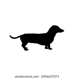 dachshund, silhouette of a dachshund	