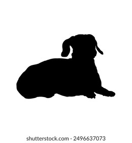 dachshund, silhouette of a dachshund	