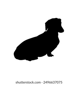 dachshund, silhouette of a dachshund	