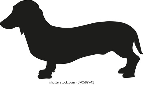 Dachshund silhouette