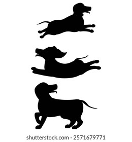 Dachshund Silhouette Running in a Field