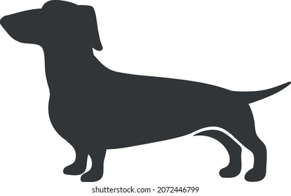 Dachshund silhouette. Sausage hunting dog breed, dachschund long size, teckel canine companion, vector icon isolated on white background