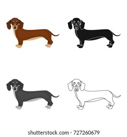 Dachshund, single icon in cartoon style.Dachshund, vector symbol stock illustration web.