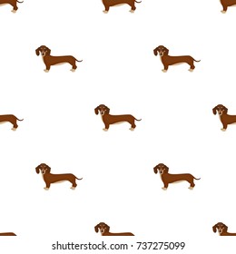 Dachshund, single icon in cartoon style.Dachshund, vector symbol stock illustration web.