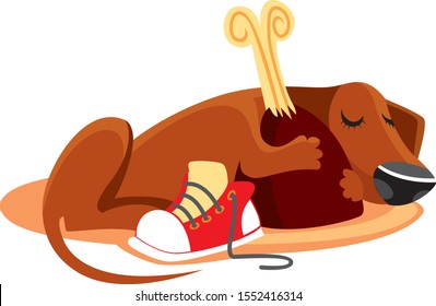 Dachshund sleeping, hugging a big ham