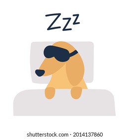 Dachshund sleeping wearing sleeping mask. Funny vector illustration on white background.