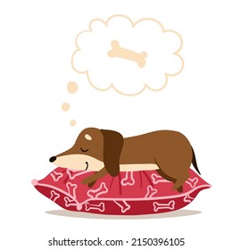 Dachshund sleeps on a red pillow and dreams of a bone. Drawn in cartoon style. Vector illustration for designs, prints, patterns. Isolated on white background
