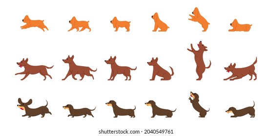 Dachshund, Spaniel dog and ordinary mongrel dog various poses flat line graphic isolated