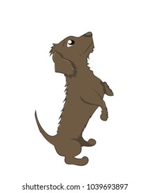 dachshund that asks for food, vector