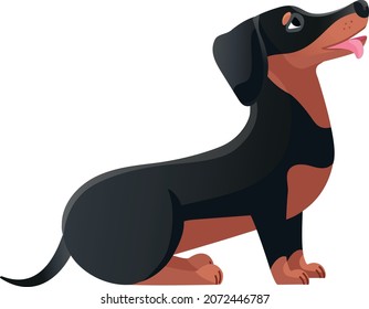 Dachshund with tongue. Canine tail puppy character flat icon vector illustration isolated on white background