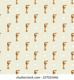 dachshund and trace pattern