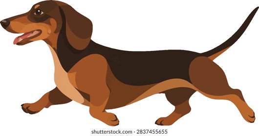 dachshund trotting eagerly side profile facing left full body decorative vector illustration