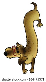 Dachshund vector