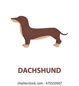 Dachshund vector icon in cartoon style for web