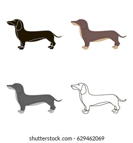 Dachshund vector icon in cartoon style for web