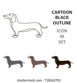 Dachshund vector icon in cartoon style for web