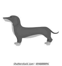 Dachshund vector icon in monochrome style for web