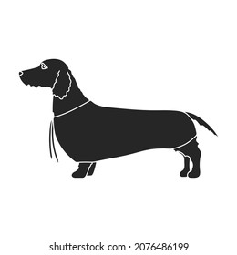 Dachshund vector icon.Black vector icon isolated on white background dachshund.