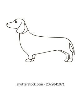 Dachshund vector icon.Outline vector icon isolated on white background dachshund.