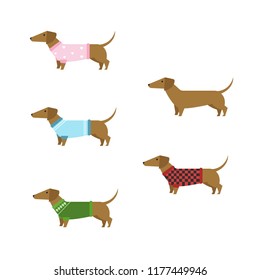 Dachshund. Vector illustration. 