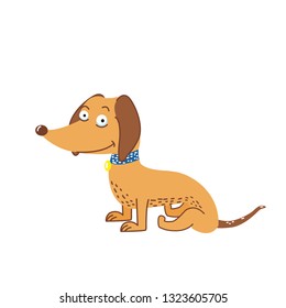 dachshund, vector illustration