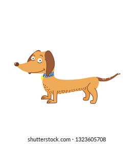 dachshund, vector illustration
