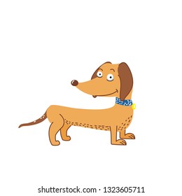 dachshund, vector illustration