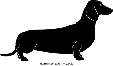 Dachshund Vector Illustration