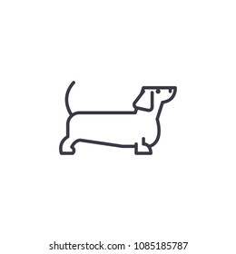 dachshund vector line icon, sign, illustration on background, editable strokes