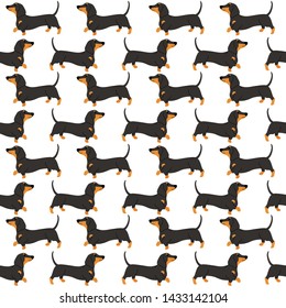 dachshund walk seamless pattern background