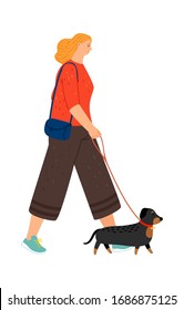 Dachshund walking. Owner with dog. Girl go to walk with puppy. Happy female character and pet vector illustration