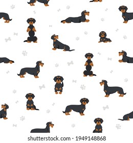 Dachshund wire haired clipart. Different poses, coat colors set.  Vector illustration