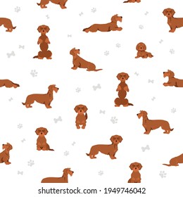 Dachshund wire haired clipart. Different poses, coat colors set.  Vector illustration