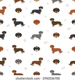 Dachshund wire haired clipart. Different poses, coat colors set.  Vector illustration