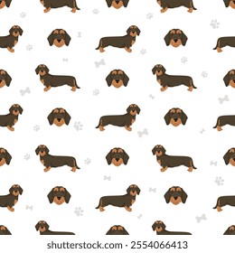 Dachshund wire haired dog seamless pattern. Different coat colors set.  Vector illustration