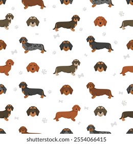 Dachshund wire haired dog seamless pattern. Different coat colors set.  Vector illustration